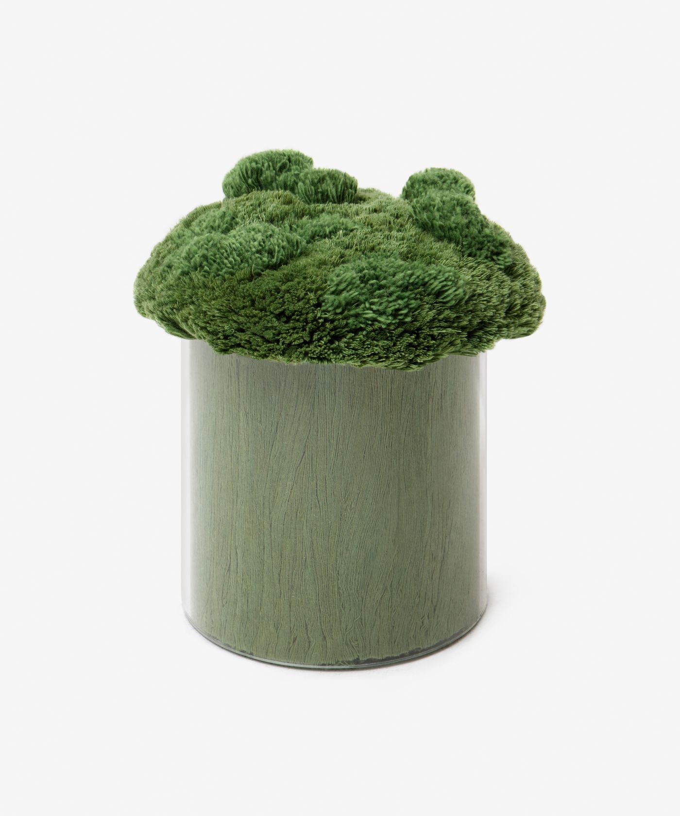 Lichens