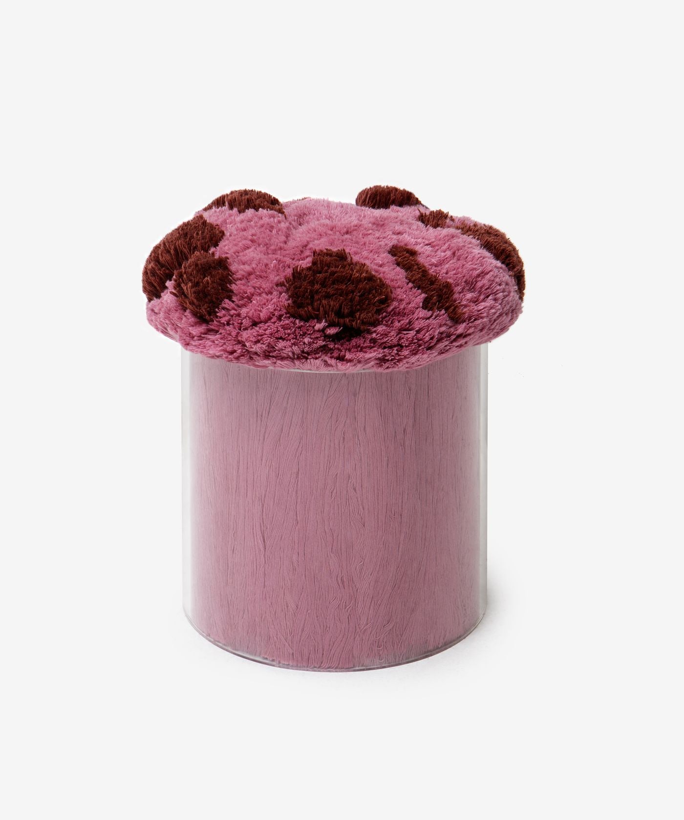 Fungus