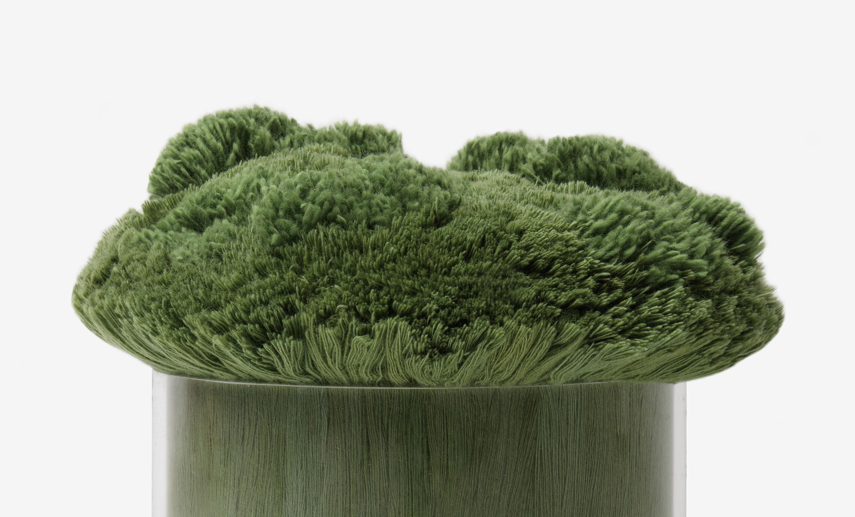 Lichens — detail
