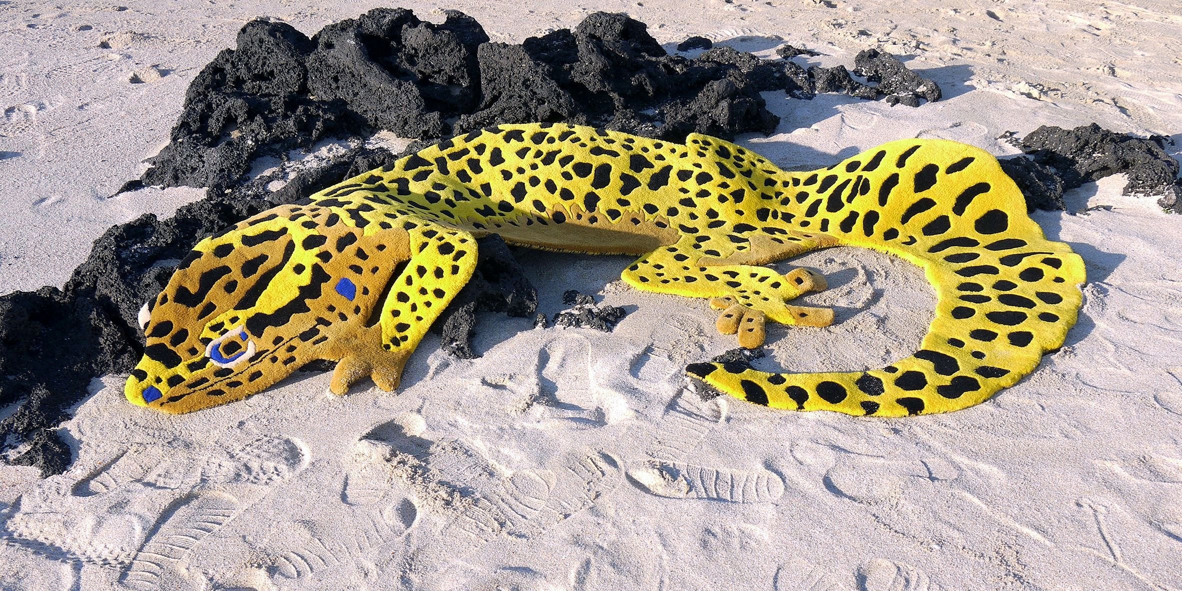 Eublepharis macularius